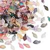 Acrylic Leaf Charms OACR-CJC0020-03-1