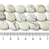 Natural Howlite Beads Strands G-K365-B14-02-5