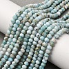 Natural Larimar Beads Strands G-F803-B01-02-1
