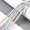 Natural Rainbow Alashan Agate Beads Strands X-G-G806-04-4mm-01-1