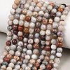 Natural Mexican Agate Beads Strands G-G345-B01-6mm-1
