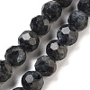 Natural Larvikite Beads Strands G-C150-B06-02-2