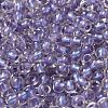 6/0 Transparent Inside Colours Glass Seed Beads SEED-P006-01A-14-3