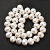 Electroplated Shell Pearl Beads Strands BSHE-C009-03B-3