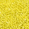 FGB Transparent Glass Seed Beads SEED-N013-01B-12-3