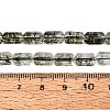 Crackle Transparent Glass Beads Strands GLAA-N068-05A-02-4