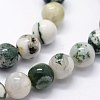 Natural Tree Agate Beads Strands X-G-I199-03-10mm-4