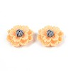 Resin Decoden Cabochons CRES-T025-04B-1