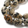 Natural Dalmatian Jasper Beads Strands G-B106-A29-02-4