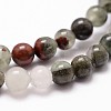 Natural African Bloodstone Beads Strands G-G735-32-10mm-3