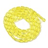 Transparent Glass Beads Strands GLAA-Z018-C24-2