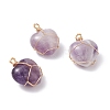 Natural Amethyst Pendants PALLOY-JF01081-01-1