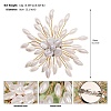 ABS Imitation Pearl Acrylic Flowers Brooch PW-WG53798-01-1