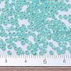 MIYUKI Round Rocailles Beads SEED-JP0008-RR0571-4