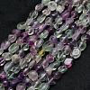 Natural Fluorite Beads Strands G-F521-48-1