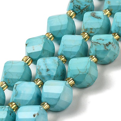 Dyed Natural Howlite Beads Strands G-G023-B01-01B-1