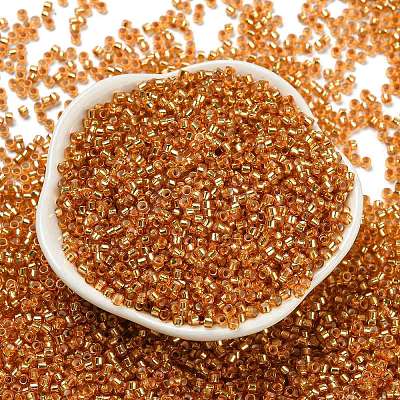 Glass Seed Beads SEED-S042-04A-11-1