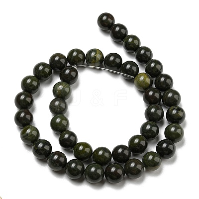 Natural African Green Autumn Jasper Beads Strands G-R494-A19-04-1