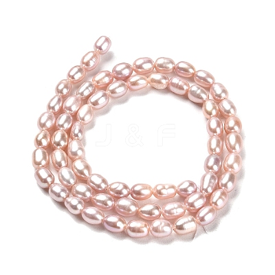 Natural Cultured Freshwater Pearl Beads Strands PEAR-E016-162-1