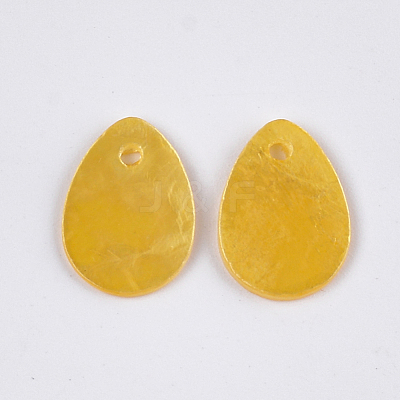 Spray Painted Capiz Shell Charms SSHEL-T006-10B-1