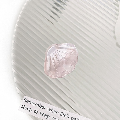 Mini Shell Shape Cellulose Acetate(Resin) Claw Hair Clips PW-WG1593E-02-1