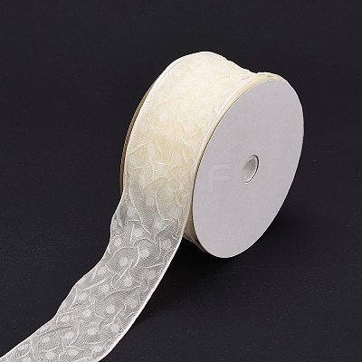 20 Yards Polyester Mesh Ribbon SRIB-P021-E07-1
