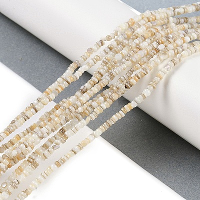 Natural Freshwater Shell Beads Strands X-BSHE-H109-13A-1