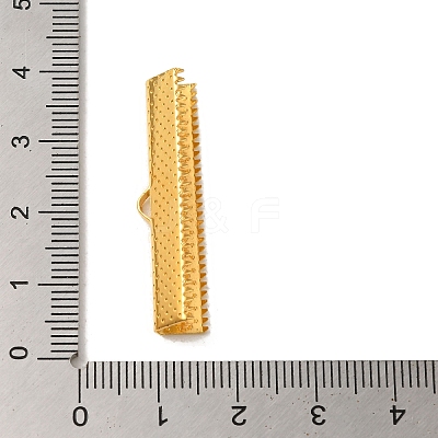 Iron Ribbon Crimp Ends E184Y-G-1