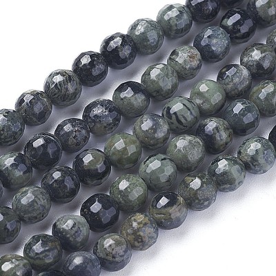Natural Kambaba Jasper Beads Strands G-P430-11-B-1