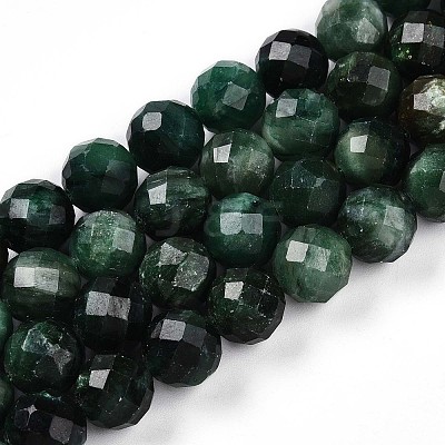 Natural Fuchsite Beads Strands G-S345-10mm-33-1