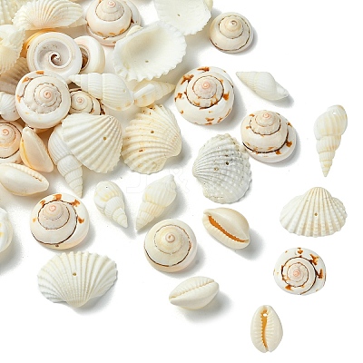 48Pcs 4 Styles Natural Shell Beads BSHE-YW0001-06-1