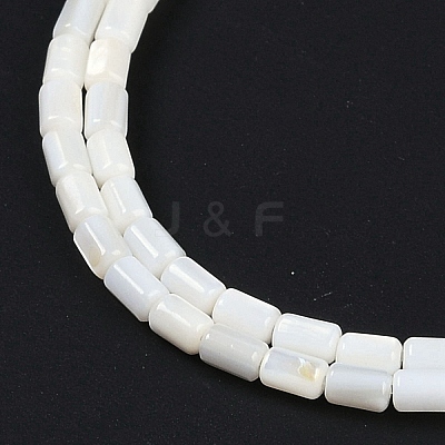 Natural Freshwater Shell Beads Strands BSHE-H109-17A-1