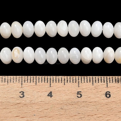 Natural Freshwater Shell Beads Strands SHEL-C010-04A-02-1