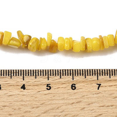 Natural Freshwater Shell Beads SHEL-B003-01A-1