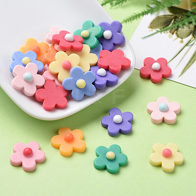 Resin Cabochons CRES-CJ0001-11-1