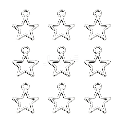 Tibetan Style Alloy Charms LF10651Y-1