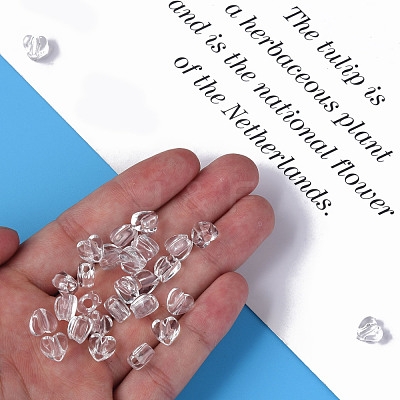 Transparent Acrylic Beads MACR-S373-95-B01-1