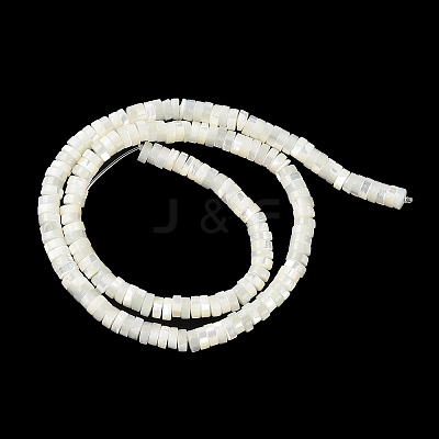 Natural Trochus Shell Beads Strands BSHE-E030-09A-01-1
