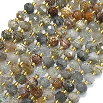 Natural Lodolite Quartz Beads Strands G-K389-E37-01-1