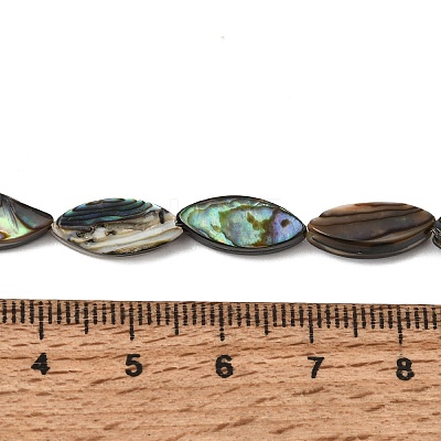 Natural Abalone Shell Paua Shell Beads Strands SH-CBA69D1-01-1