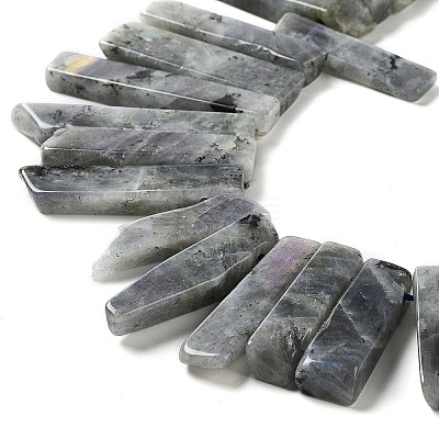 Natural Labradorite Beads Strands G-L551B-06-1