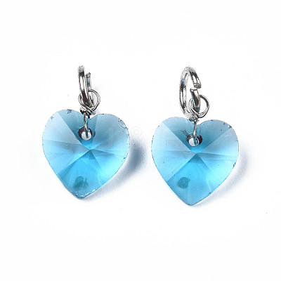 Faceted Transparent Glass Charms GLAA-T024-04E-1