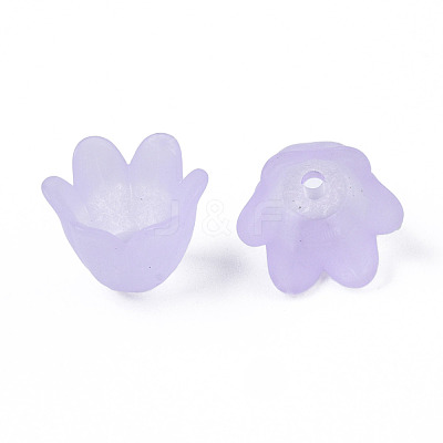 Transparent Acrylic Bead Caps FACR-N005-002F-1