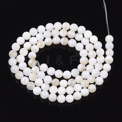 Freshwater Shell Beads Strands SHEL-T011-01-5mm-1