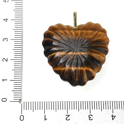 Natural Tiger Eye Carved Pendants G-C276-01G-11-1