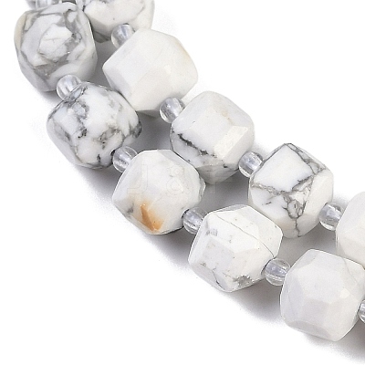 Natural Howlite Beads Strands G-B125-O01-01-1