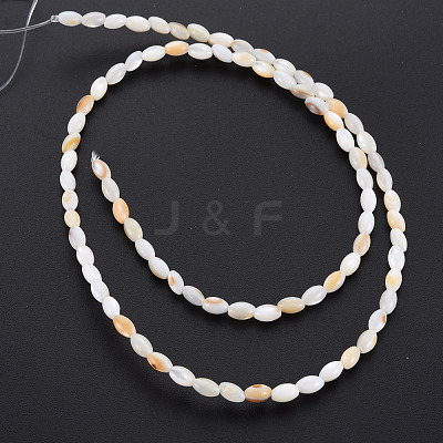 Natural Freshwater Shell Beads Strands SHEL-N027-08B-1