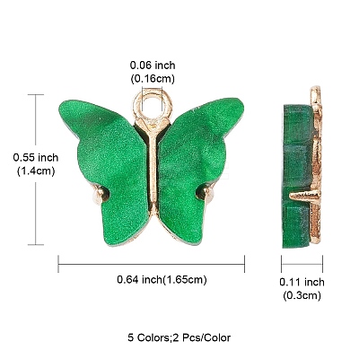 10Pcs 5 Colors Alloy Acrylic Pendants MACR-YW0002-56-1