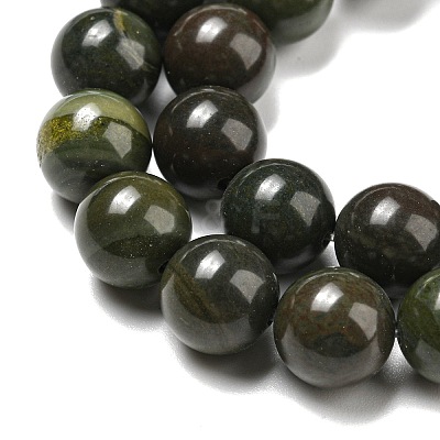 Natural African Green Autumn Jasper Beads Strands G-R494-A19-04-1