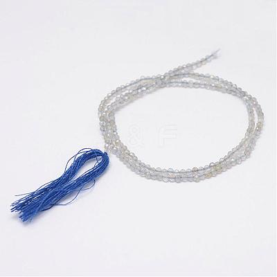 Natural Labradorite Beads Strands G-E347-14-1